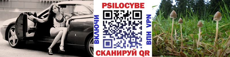 наркошоп  Белгород  Галлюциногенные грибы прущие грибы 