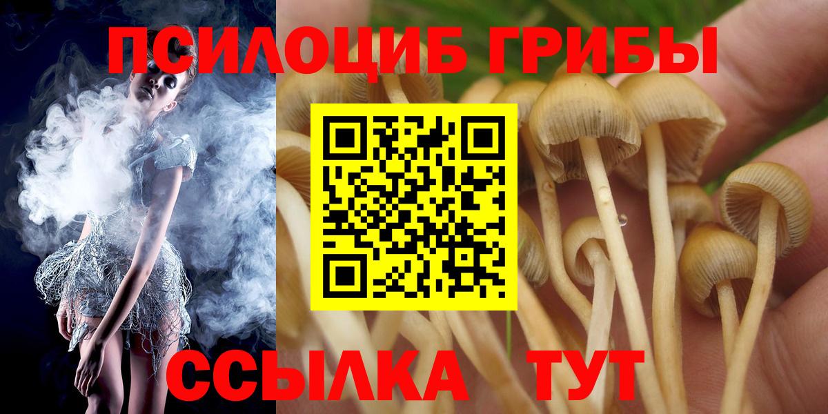 Белгород  Галлюциногенные грибы Cubensis  Вход с VPN 